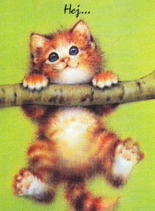 Hey ! Swedish Sweden Cat Stuck In On Tree Branch Stick Hanging Dangling Postcard