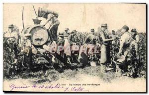 Old Postcard Folklore Wine Vineyard Harvest TOP