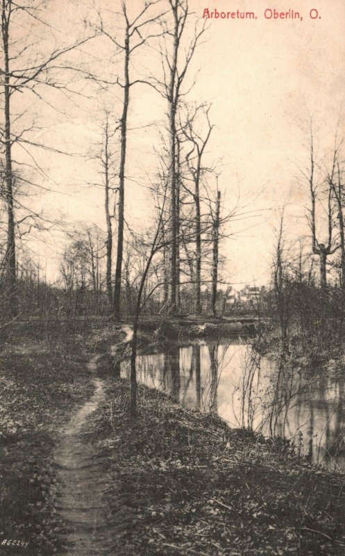 Vintage Postcard 1910's Arboretum Trails Creeks Bridges Hikes Oberlin Ohio OH