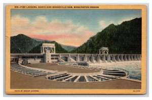 Fish Ladders Bonneville Dam Bonneville Washington WA Linen Postcard N26