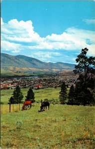 Postcard BC An Elevated View of Scenic Kamloops Horses Thompson River 1960s S103