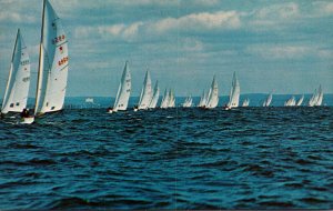 New York Star Boats Racing In Long Island Sound's Salty Waters