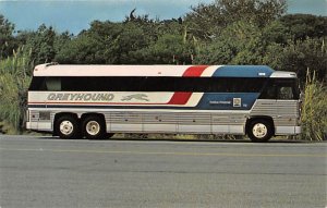 Greyhound Lines View Postcard Backing 