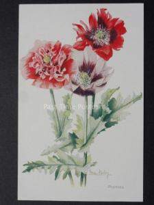Poppies: Art by Nora Hedley by J.Salmon No.762