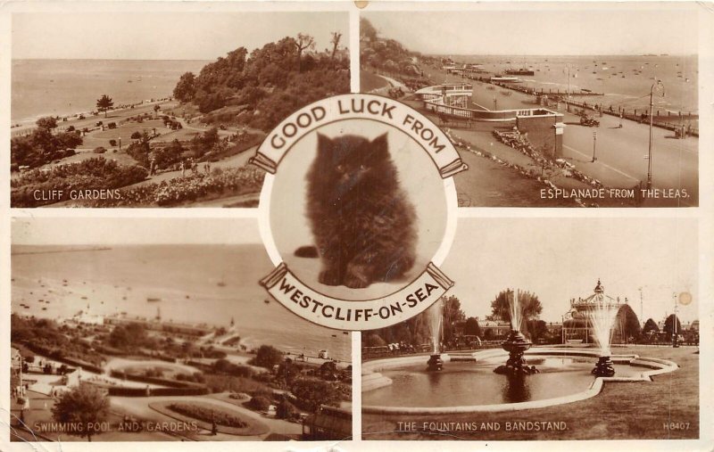 br108007 good luck from westcliff on sea uk  cat real photo