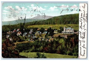 1918 East Avenue Trees Scene Rochester New York NY Posted Vintage Postcard