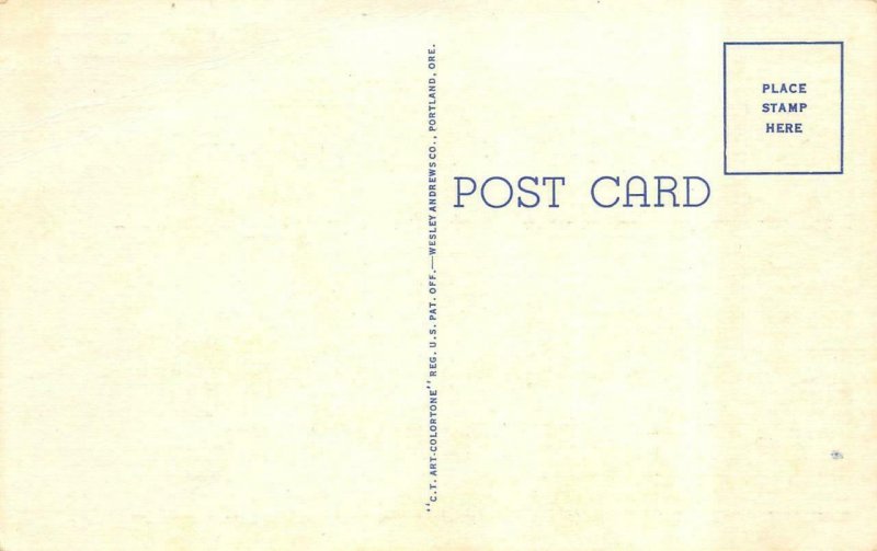 WINCHESTER, Oregon OR   ROBERT BOOTH BRIDGE~Umpqua River ca1940's Linen Postcard