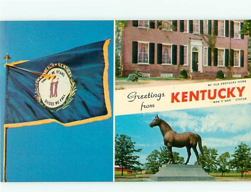 Vintage Post Card Horse Greeting from Ole Kent Home Man-o-war  Kentucky   # 4688