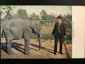 Vintage Postcard 1909 Lincoln Park Elephant, Chicago, Illinois (IL)