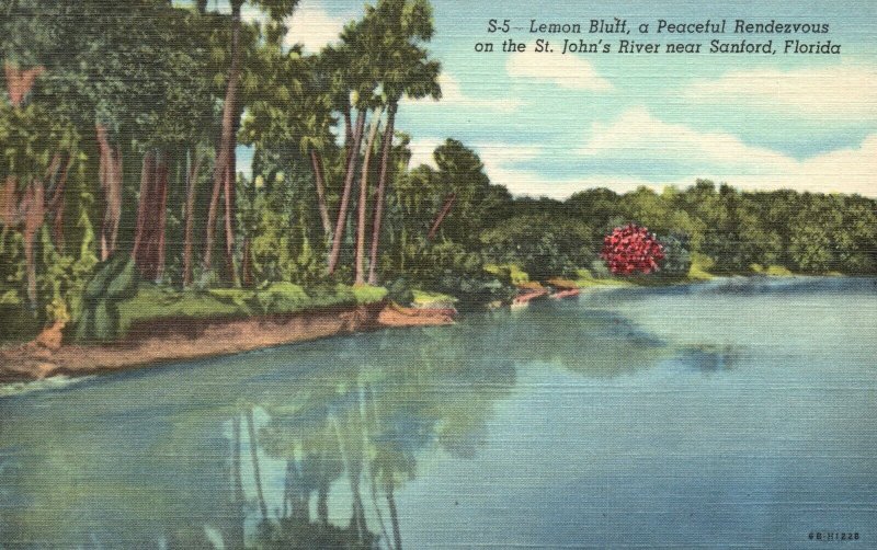 Vintage Postcard 1930's Lemon Bluff Peaceful Rendezvous St. John's River Sanford