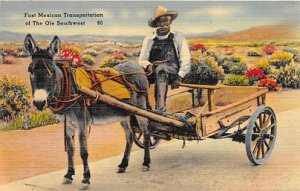 Fast Mexican Transportation of the Ole Southwest Unused 