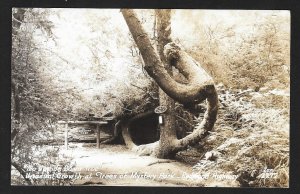 Upside Down Tree Mystery Park Redwood Highway CA RPPC Unused c1940s