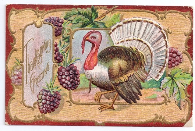 Jaeger Vintage Thanksgiving Postcard Embossed Gilt Outlines Turkey Blackberries
