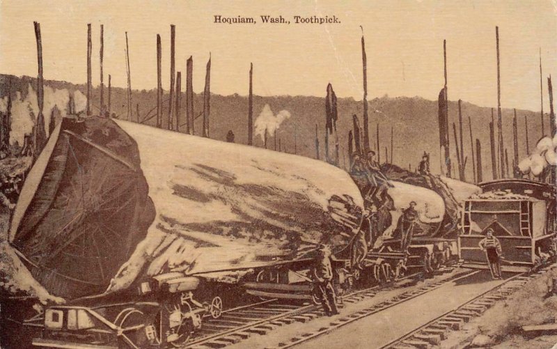 HOQUIAM, WA Toothpick Logging Train Railroad 1912 Vintage Postcard