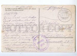 236383 WWI GERMANY forget Me Not 1917 year military post RPPC