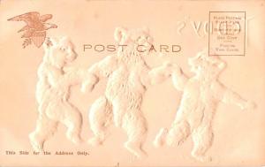 Bear Post Card Old Vintage Antique Teddy B Unused