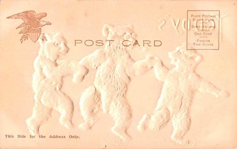 Bear Post Card Old Vintage Antique Teddy B Unused