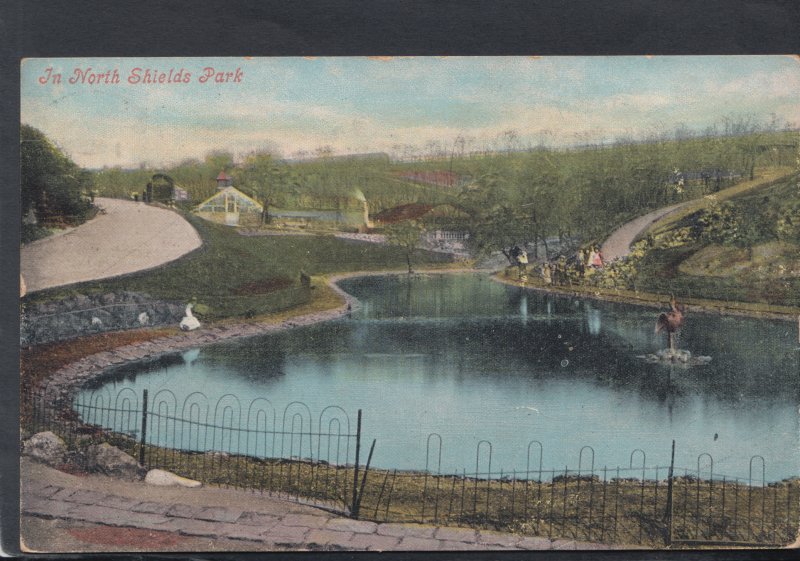 Northumberland Postcard - In North Shields Park  HM400