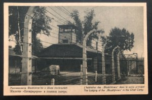 Mint Poland Postcard RPPC Concentration Camp Auschwitz Lodging Of The Blockfuhre