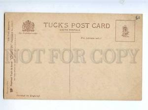 183018 HUNTING dog POINTER on the Moors Vintage TUCK postcard