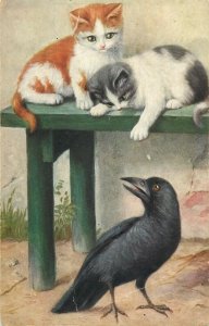 Lovely kitties & raven early postcard