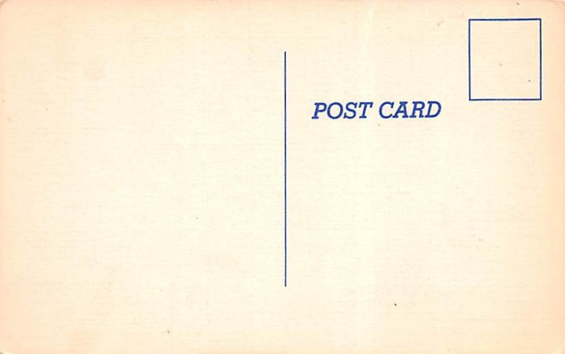 Umbrella Plane Unused 