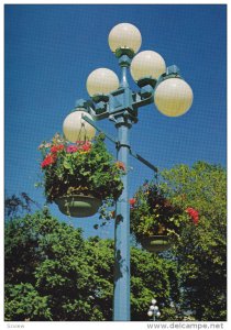 Flower Baskets, Cluster Lamp, VICTORIA, British Columbia, Canada, 50-80's