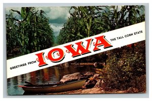 Vintage 1960's Postcard Greetings From Iowa - Tall Corn State Rowboat Corn Farm