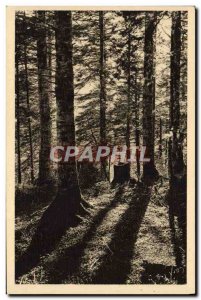 Old Postcard Bagneres de Bigorre On the Road of the Col d & # 39Aspin The forest