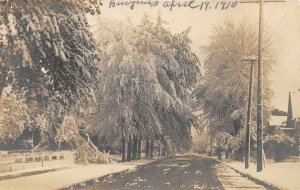 J6/ Bucyrus Ohio RPPC Postcard c1910 Winter Storm Snow Trees 163