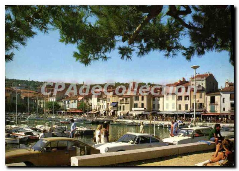 Modern Postcard Cassis Port and Le Quai Des Beaux