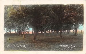 G41/ Herman Nebraska RPPC Postcard c1920s City Park Scene