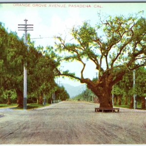 c1910s Pasadena, Cali. Orange Grove Ave Litho Photo Neuner Calitype Process A137