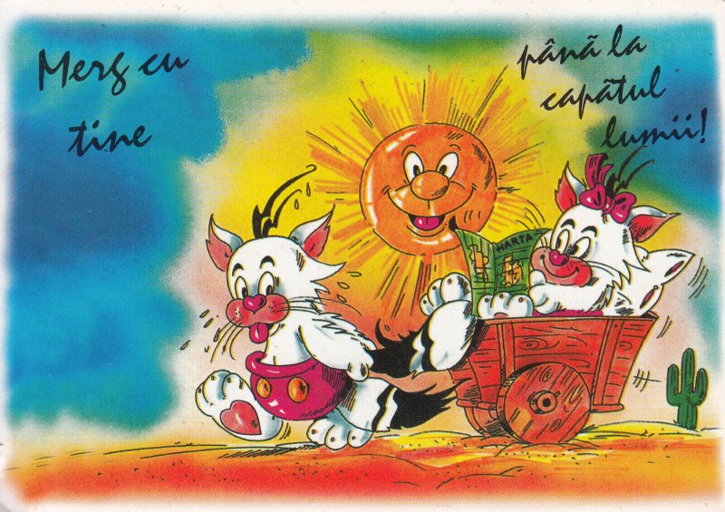 Lot of 3 continental size Valentine`s Day greetings postcards Romania comic cats