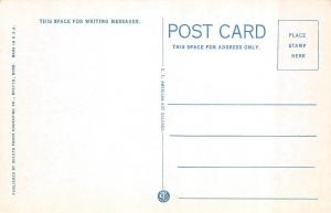 DULUTH, MN Minnesota  CLARKSON COAL & DOCK CO Ships & Train Car c1920's Postcard