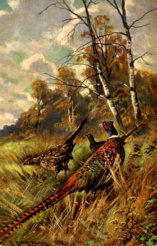 Pheasants