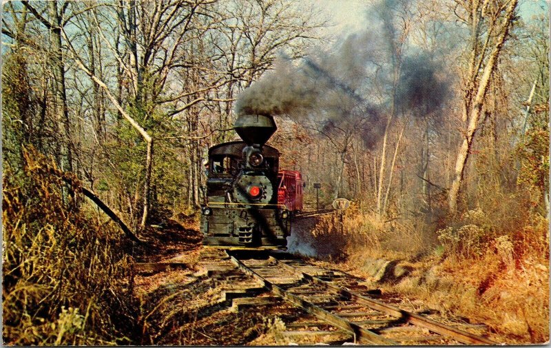 Pine Creek Railroad Train Track Farmingdale Monmouth County NJ VTG Postcard UNP 