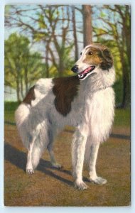 BORZOI Russischer Windhund RUSSIAN WOLFHOUSE  Stehli #59 Postcard