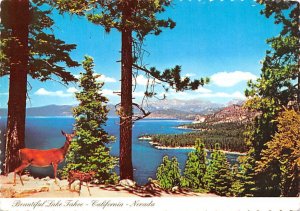 Lake Tahoe 