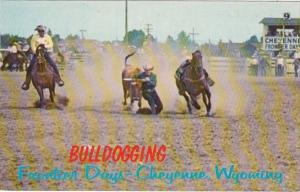 Wyoming Cheyenne Bulldogging Frontier Days