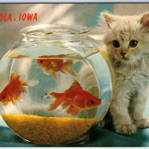 c1970s Osceola IA Iowa Greetings Adorable Kitten Goldfish Cute Cat Fishtank A233
