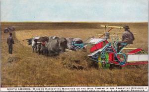 Argentina South America Harvesting Machines Harvester Co. Chicago Postcard E17