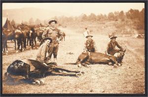 Cowboys and Horses Real Photo Postcard 1900s-1910s