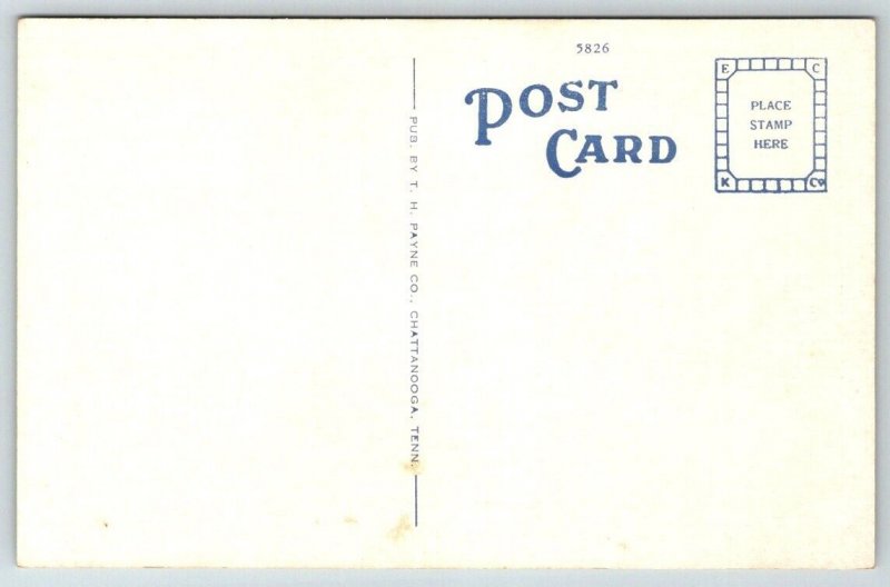 Vintage Tennessee Postcard -  Lookout Mountain