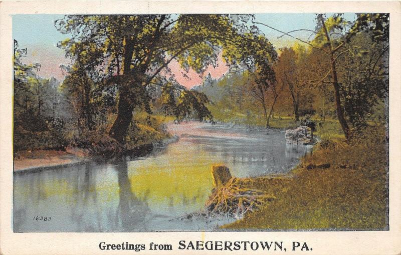 Saegerstown Pennsylvania~French Creek~Tree Overhanging Water~Stump~Rock~1920s Pc