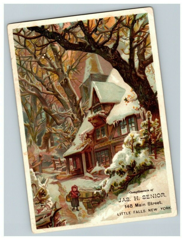 Vintage 1880's Victorian Trade Card - James H. Senior Little Falls New York