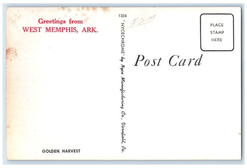 c1960s Greetings From West Memphis Harvesting Scene Arkansas AR People Postcard