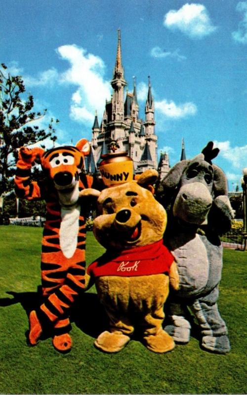 Florida Walt Disney World Winnie-the-Pooh With Tigger and Eeyore