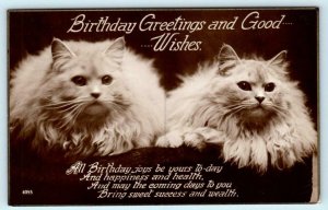 RPPC  BIRTHDAY GREETINGS ~ Birthday Joys FLUFFY WHITE CATS Real Photo  Postcard