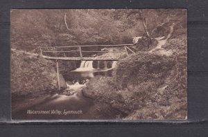 GREAT BRITAIN, LYNMOUTH, DEVON, WATERSMEET VALLEY, 1924 ppc., unused.